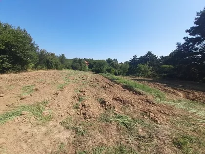 Čortanovci | 4zida.rs