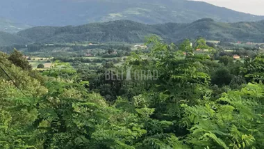 Vetrilo