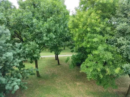 Sremska 9B | 4zida.rs