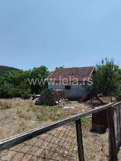 Milenka Župca | 4zida.rs
