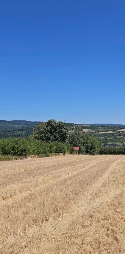 Vrdnik | 4zida.rs