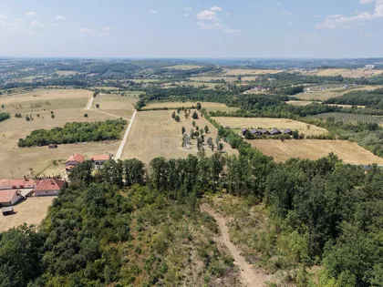 Potes Tavančić | 4zida.rs