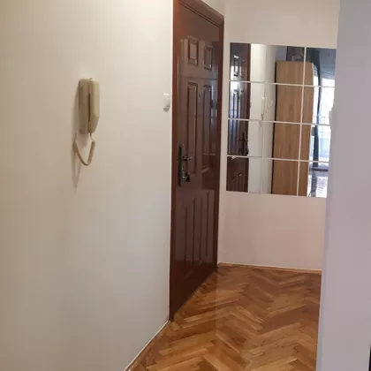 Nova Detelinara | 4zida.rs