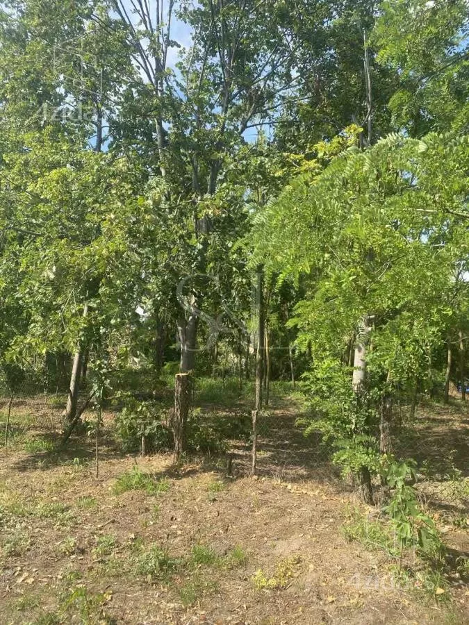 Poljoprivredno zemljište | 4zida