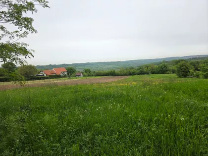 Miodraga Todorovića | 4zida.rs