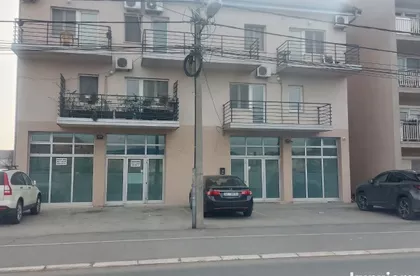 Pavla Vujisića | 4zida.rs