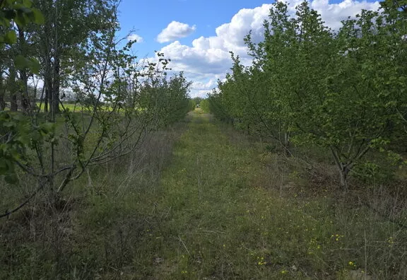 Poljoprivredno zemljište | 4zida