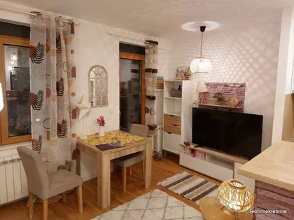 Vase Pelagića | 4zida.rs