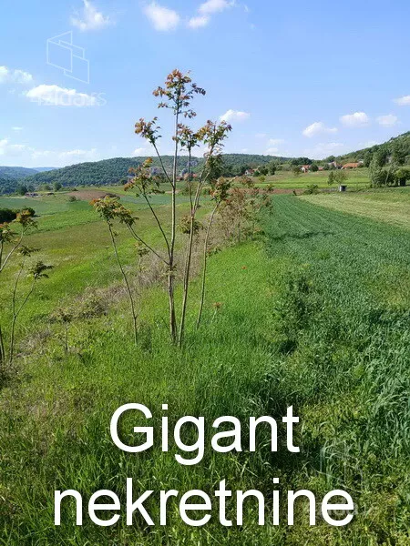 Plac | 4zida