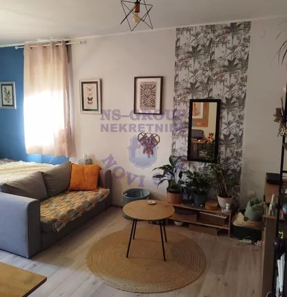 Miše Dimitrijevića | 4zida.rs