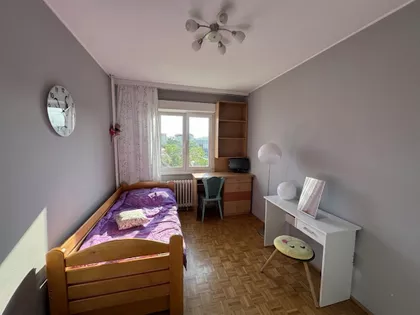 Dr Ivana Ribara | 4zida.rs