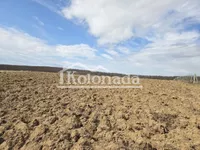 Poljoprivredno zemljište | 4zida