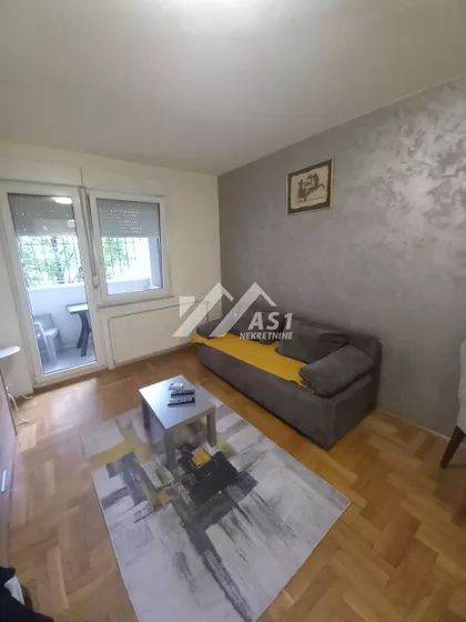 Koste Šokice | 4zida.rs