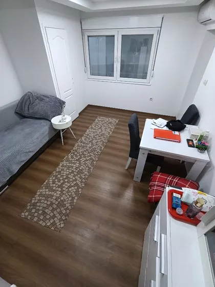 Dragoslava Srejovića | 4zida.rs