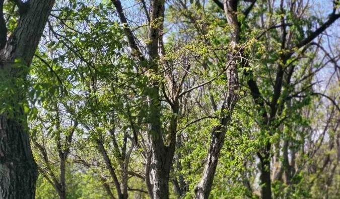 Poljoprivredno zemljište | 4zida