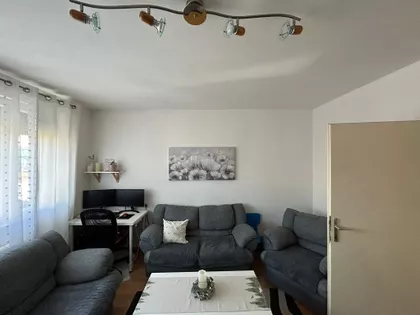 Braće Radulović | 4zida.rs