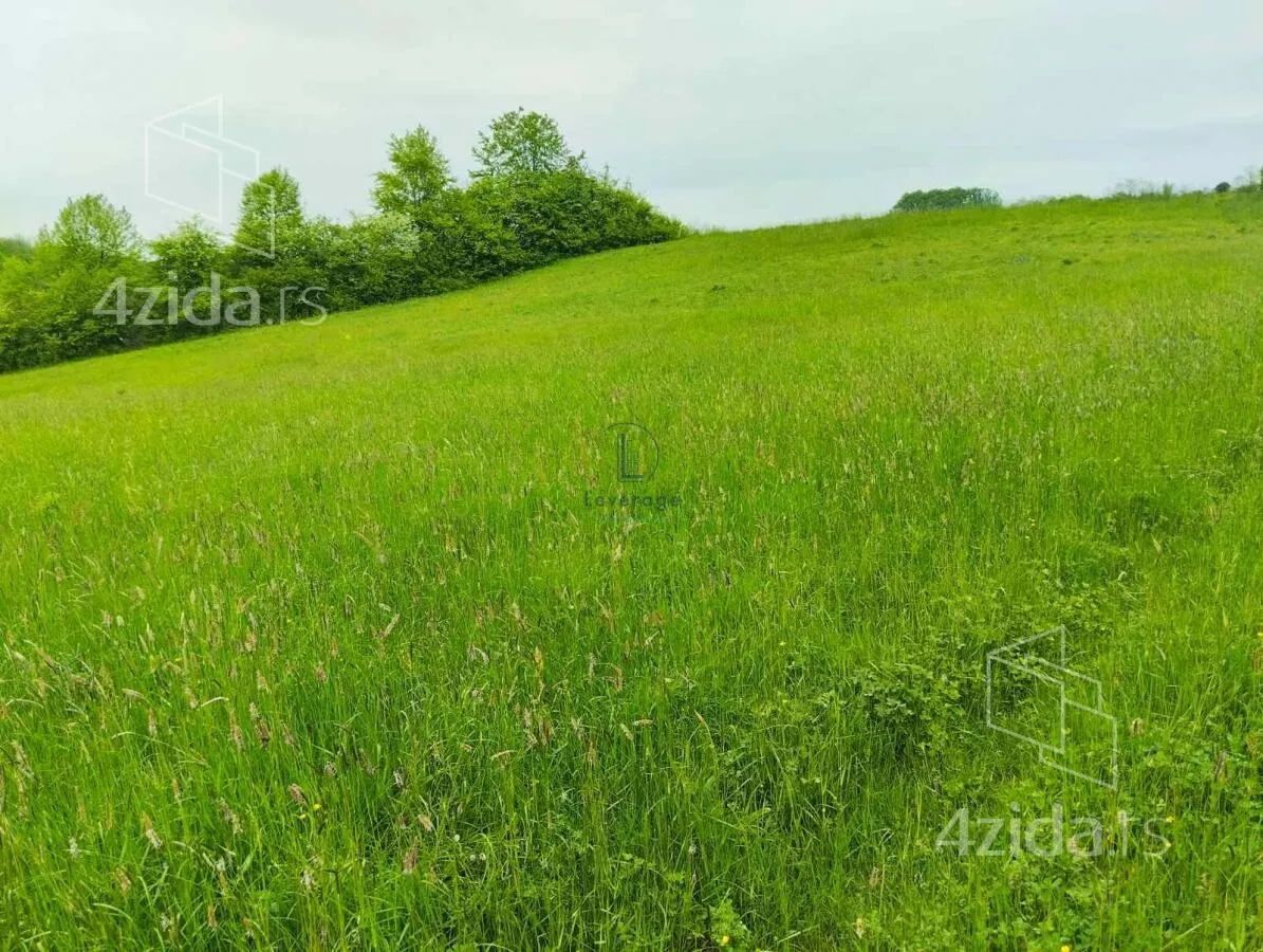 Plac | 4zida
