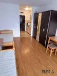 Detelinara, Gradske lokacije, Novi Sad | 4zida.rs | 4zida.rs