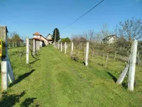 Surduk, Okolne lokacije, Stara Pazova | 4zida.rs | 4zida.rs