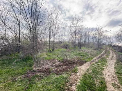 Kosmajska | 4zida.rs