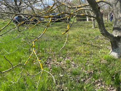 Gradske lokacije | 4zida.rs