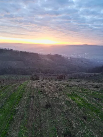 Srpsko-Grčkog Prijateljstva | 4zida.rs