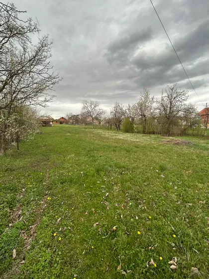 Slobodana Jovanovića | 4zida.rs