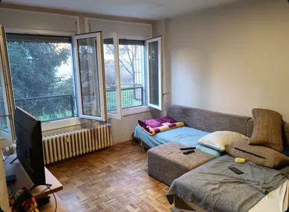 Bulevar Zorana Djindjica | 4zida.rs