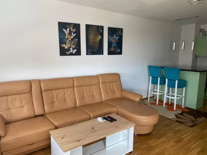 Lajoša Joa 8. | 4zida.rs