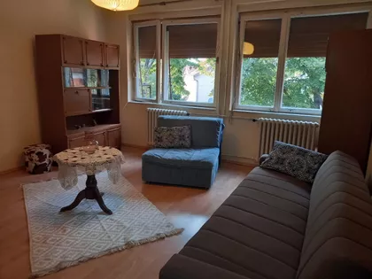 Novosadska | 4zida.rs