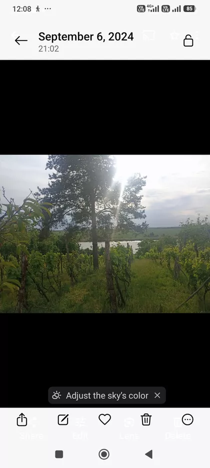 Dobanovci | 4zida.rs