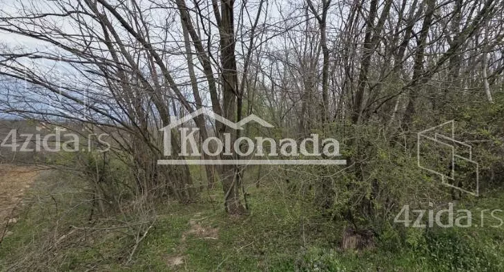 Poljoprivredno zemljište | 4zida