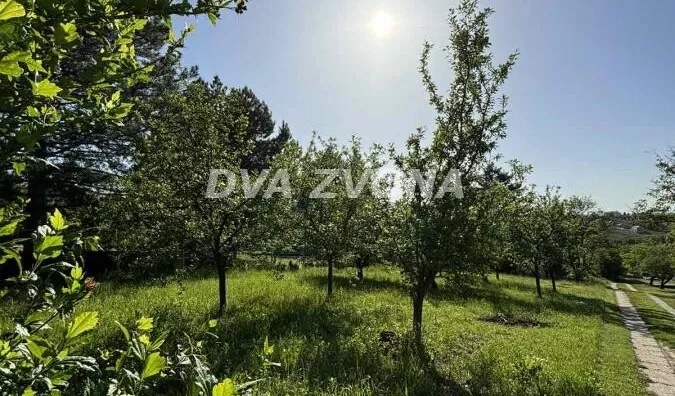 Plac | 4zida