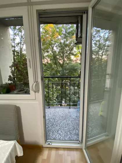 Žarka Zrenjanina | 4zida.rs
