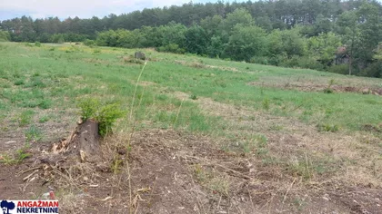 Bukovička | 4zida.rs