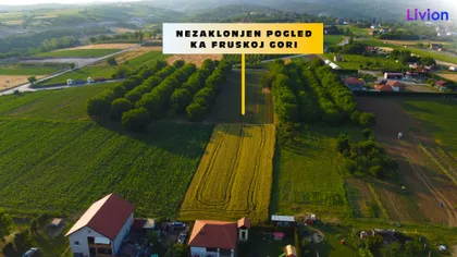 Nebojše Popovića | 4zida.rs