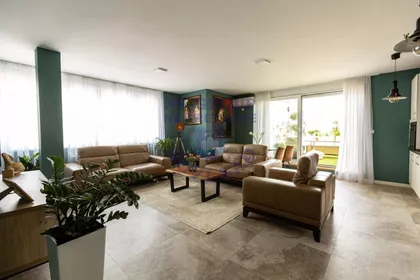 Južni Telep | 4zida.rs