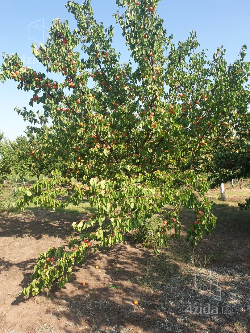 Poljoprivredno zemljište | 4zida