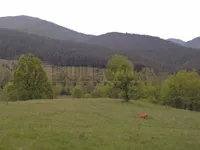 Gradske lokacije, Vrnjačka Banja | 4zida.rs