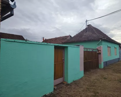 Bajmok | 4zida.rs
