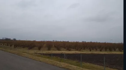 Senćanski Put | 4zida.rs