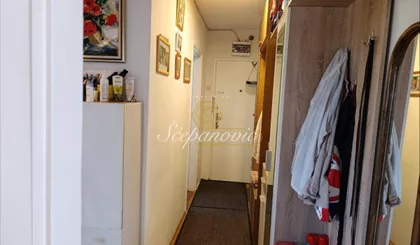 Detelinara | 4zida.rs