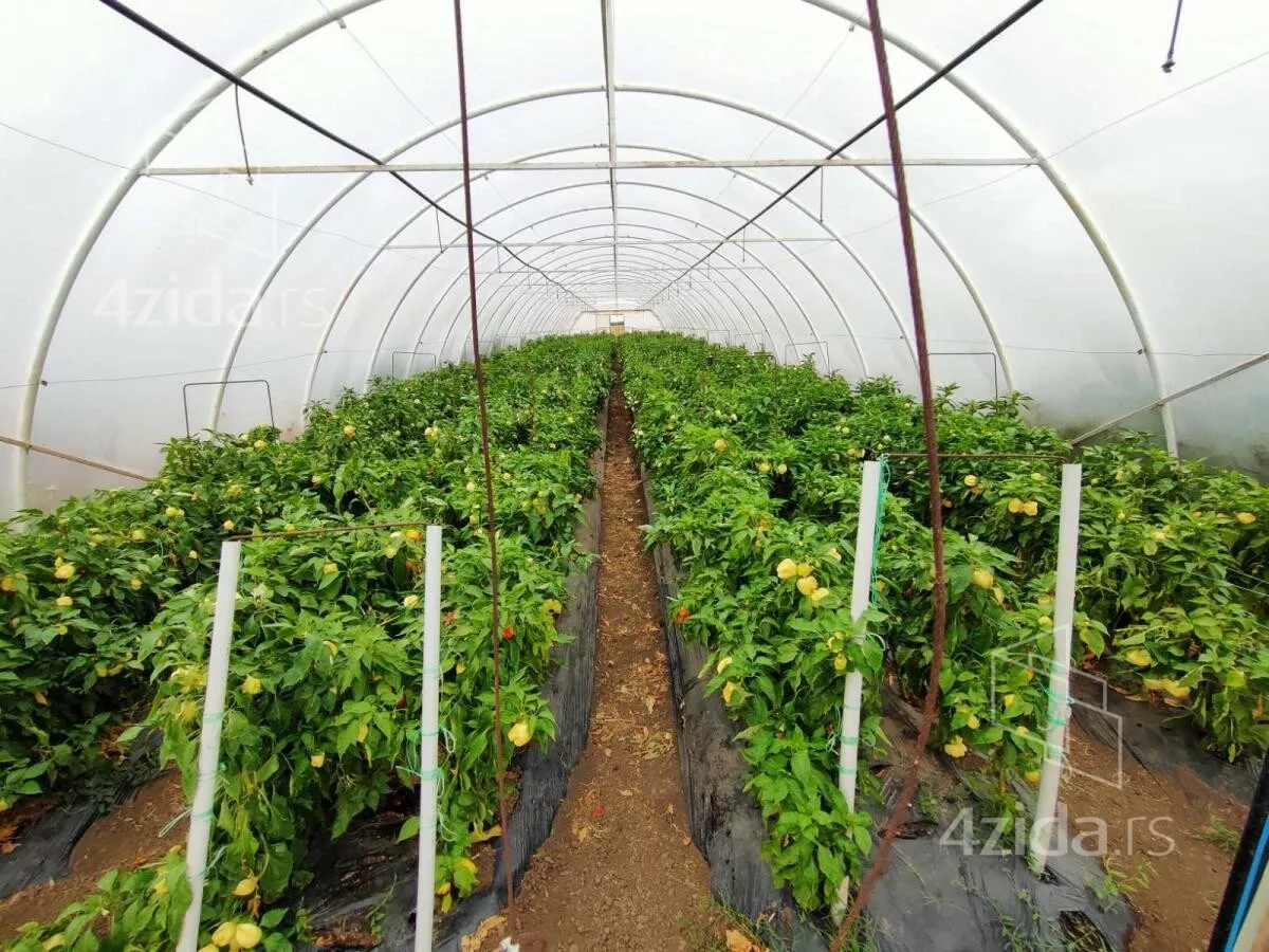 Poljoprivredno zemljište | 4zida