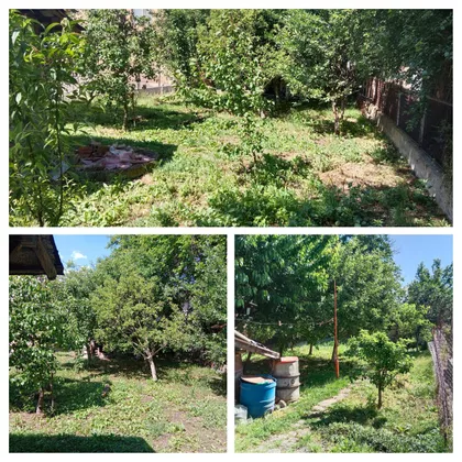 Bivoljska 219 | 4zida.rs