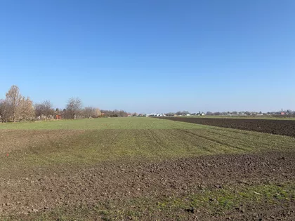 Ratarska | 4zida.rs
