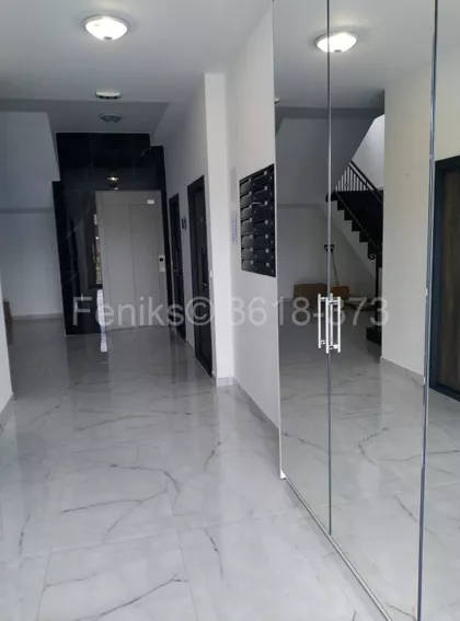 Žarka Samardžića | 4zida.rs