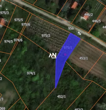 Brestovnik | 4zida.rs