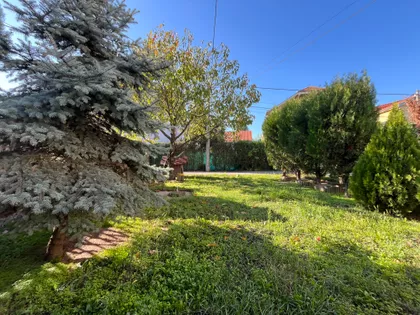 Vili Branta | 4zida.rs