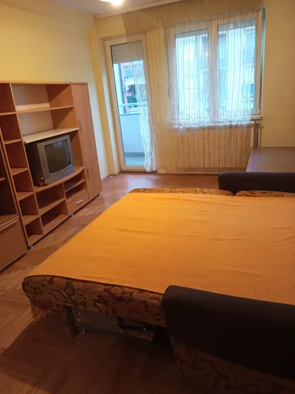 Dr Svetislava Kasapinovića | 4zida.rs