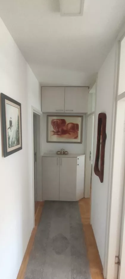 Timočke Divizije 15 | 4zida.rs